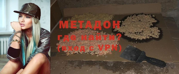гашик Алексин