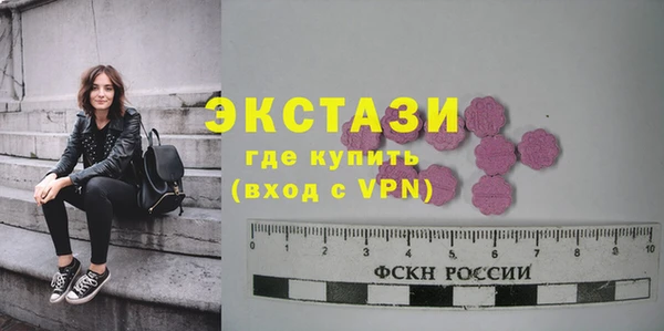 гашик Алексин