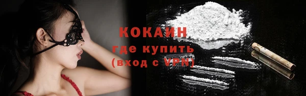 гашик Алексин