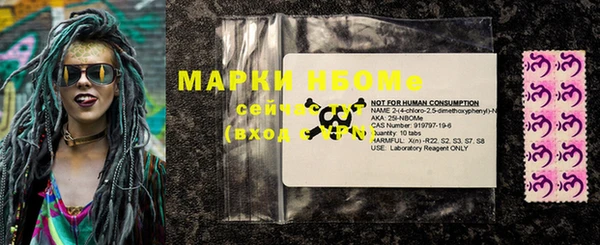 гашик Алексин