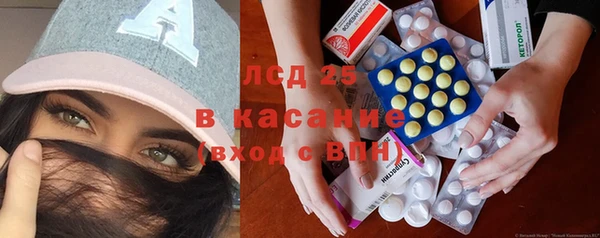 гашик Алексин