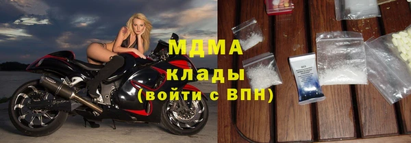гашик Алексин