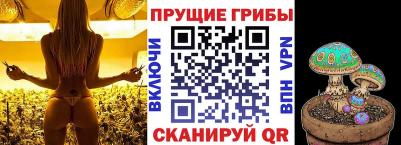 Псилоцибиновые грибы ЛСД Грозный
